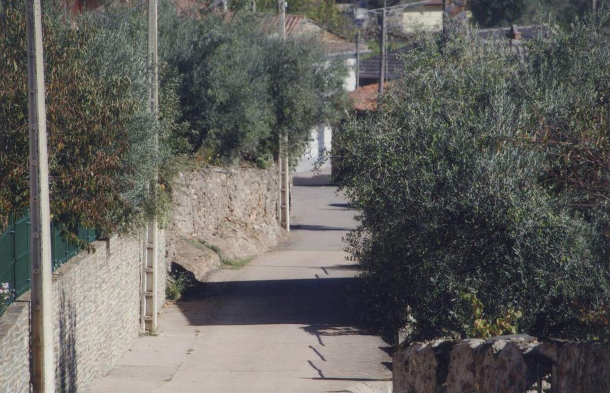 Latedo, un remanso a la sombra de los olivos