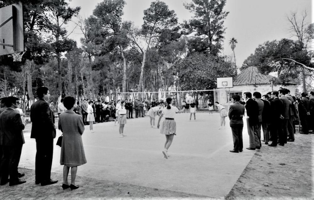 40 aniversario de la Universidad de Alicante