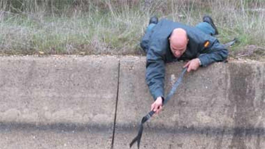 La Guardia Civil rescata un perro del canal de Navalvillar de Pela