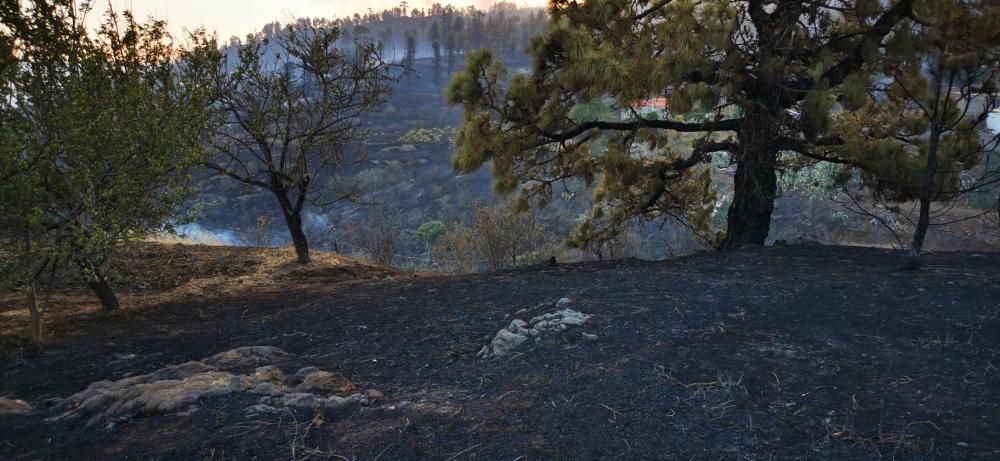 Incendio en Garafía | Domingo