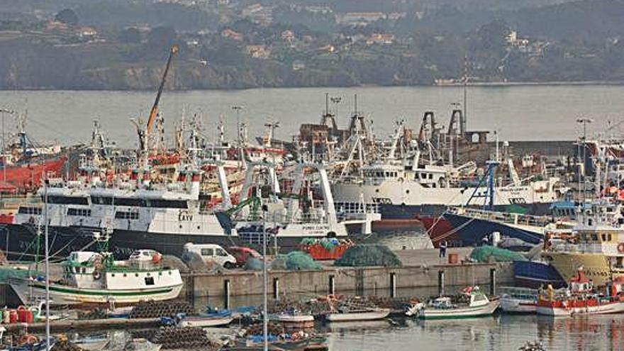 Barcos de Gran Sol amarrados en el puerto de Oza.