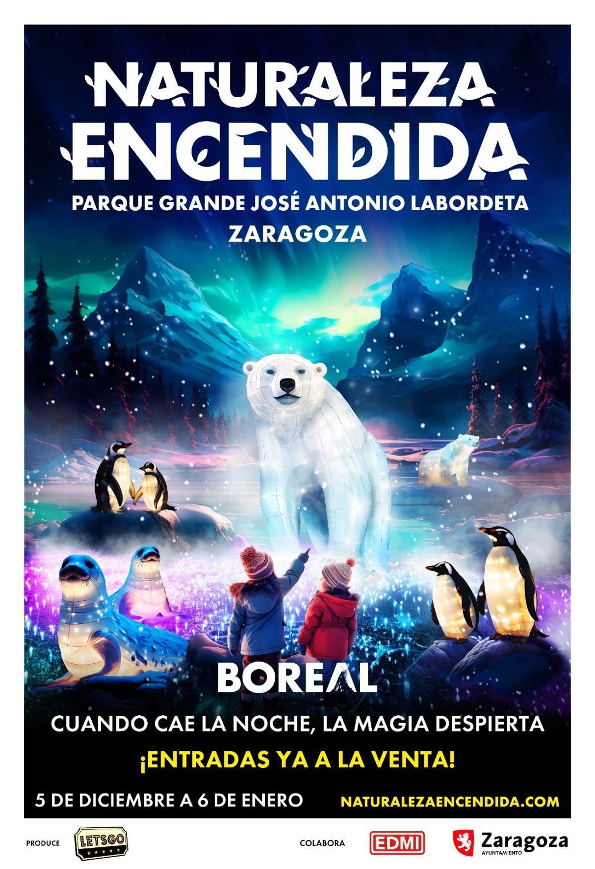 Cartel del espectáculo Boreal en Zaragoza