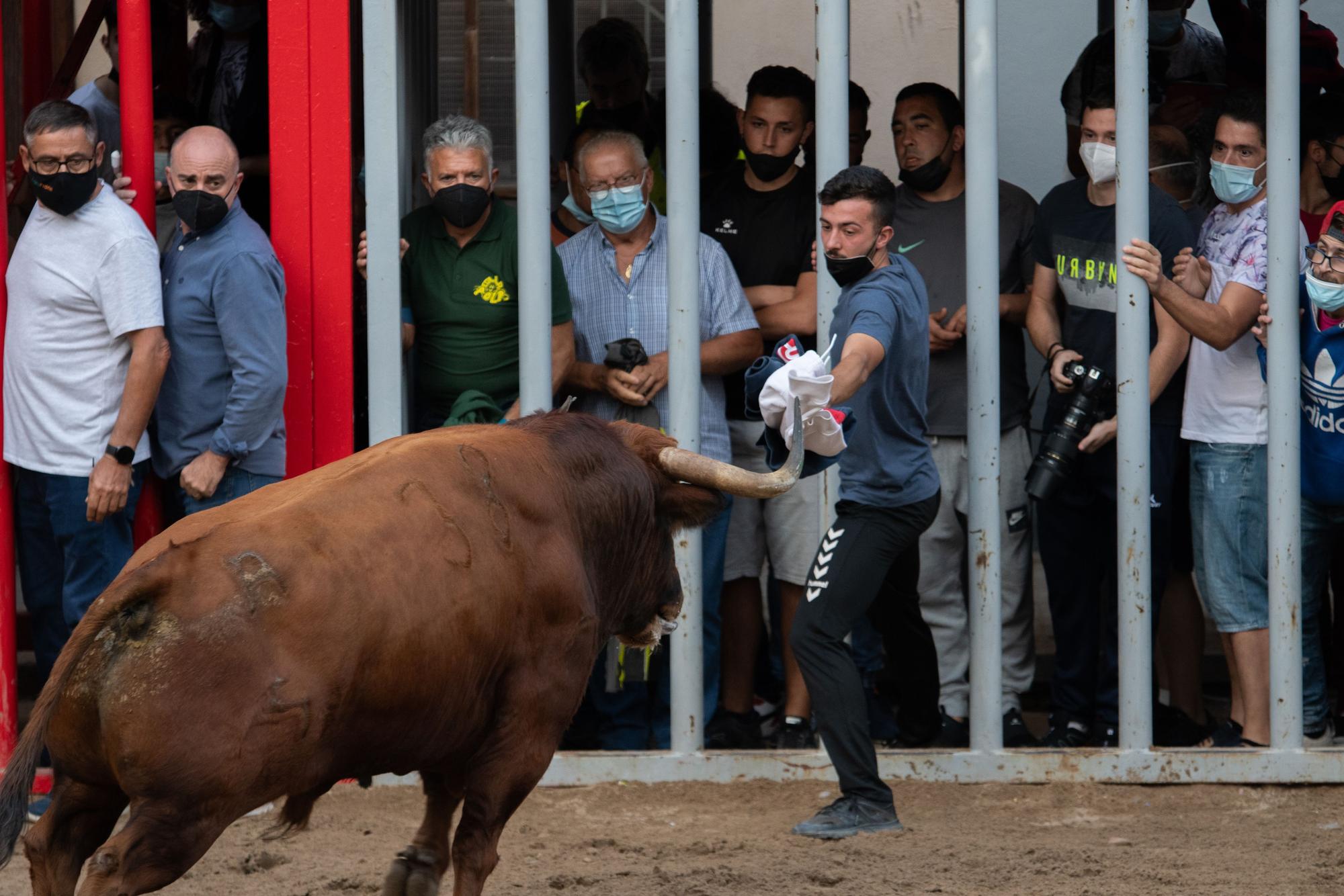 El tercer día de toros en Almassora, en imágenes