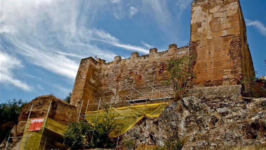 Más de 3.000 firmas piden mantener la ubicación de los nidos de vencejos de la muralla de Cáceres