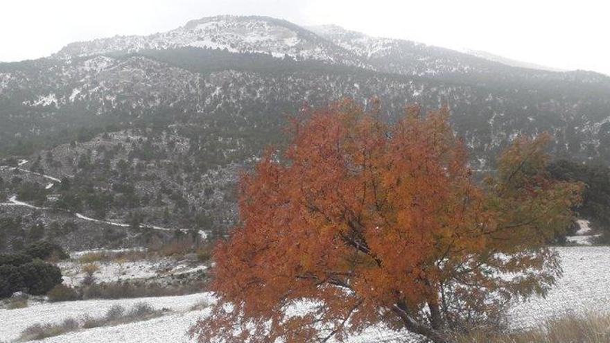 La nieve ha cuajado en Revolcadores