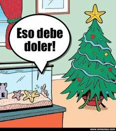 Los memes para felicitar la Navidad