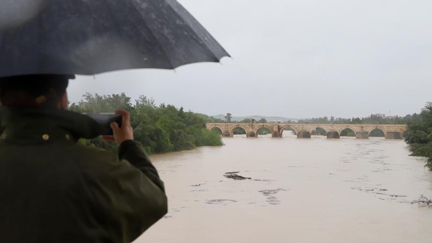 Así discurre este domingo el río Guadalquivir a su paso por Córdoba