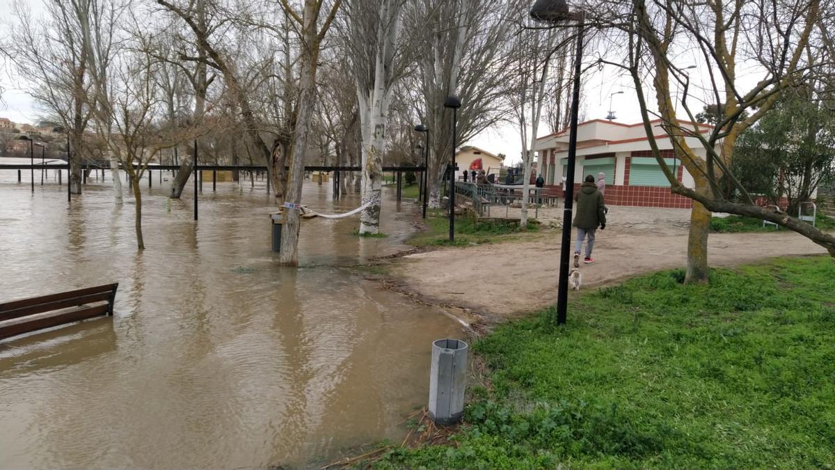 El Duero, en los Pelambres.
