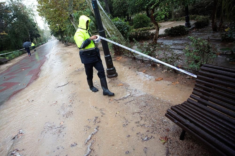 Castellón corta al tráfico nueve caminos y ...