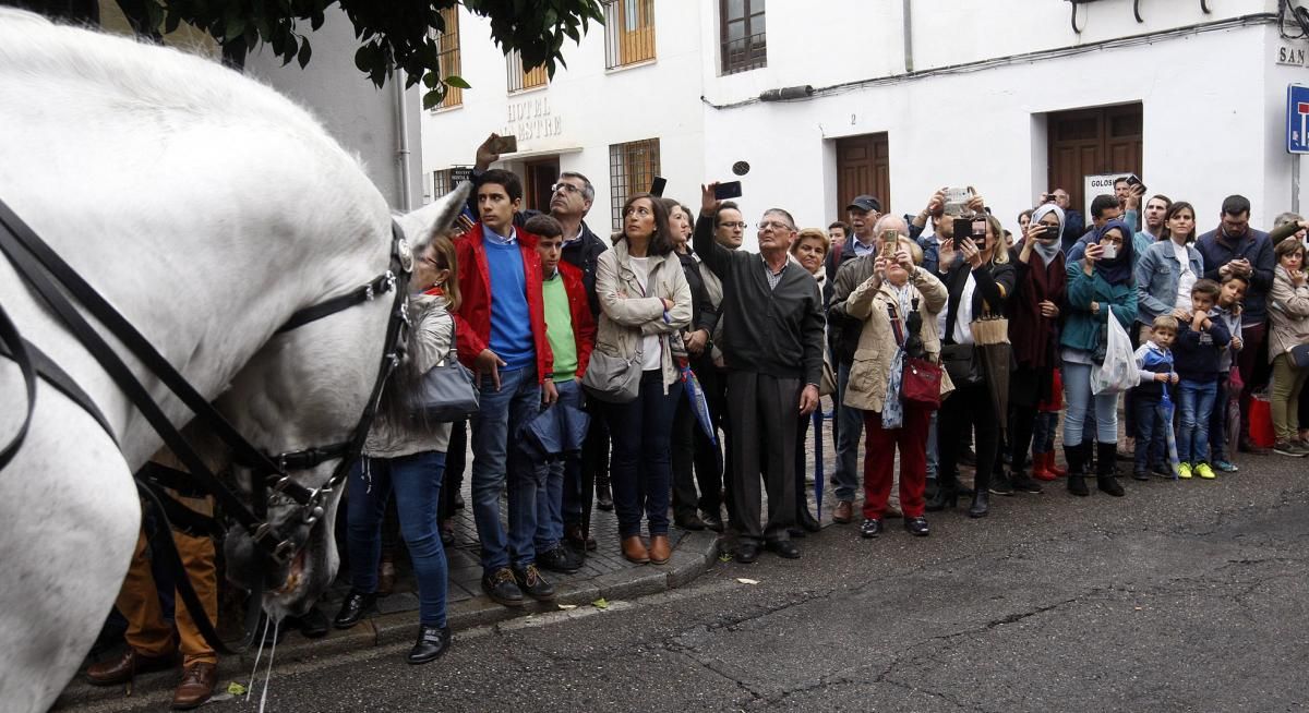 Córdoba, ciudad de la realeza ecuestre