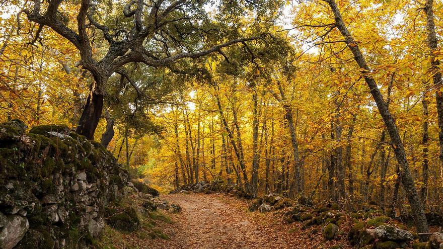 Los cinco paisajes del otoño en Cáceres para la National Geographic