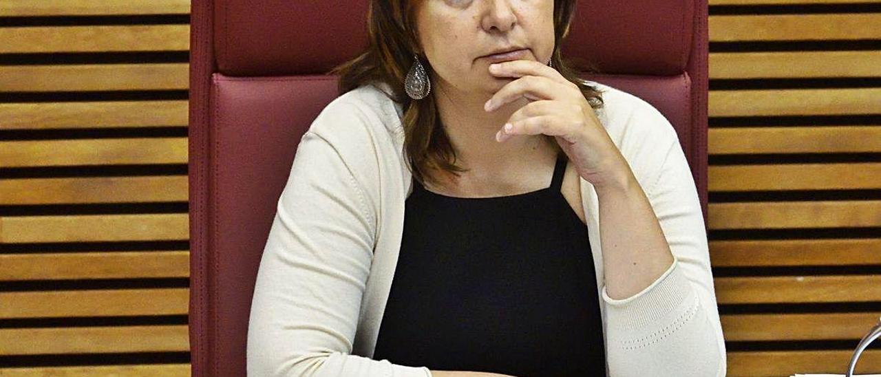 La consellera Rosa Pérez en la comisión de Coordinación.