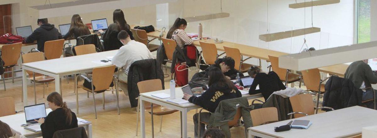 Varios estudiantes, en la biblioteca Rosalía de Castro del campus. | FDV