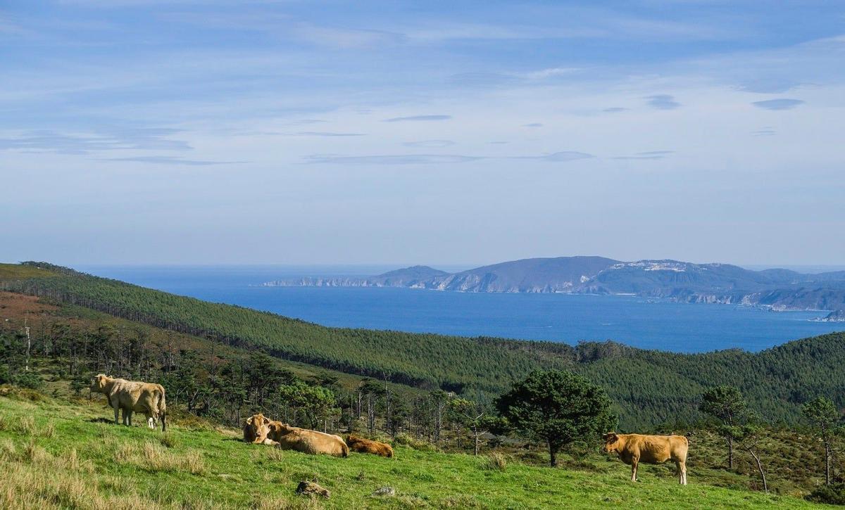 Sierra de la Capelada, Viaja a la Costa Ártabra este otoño