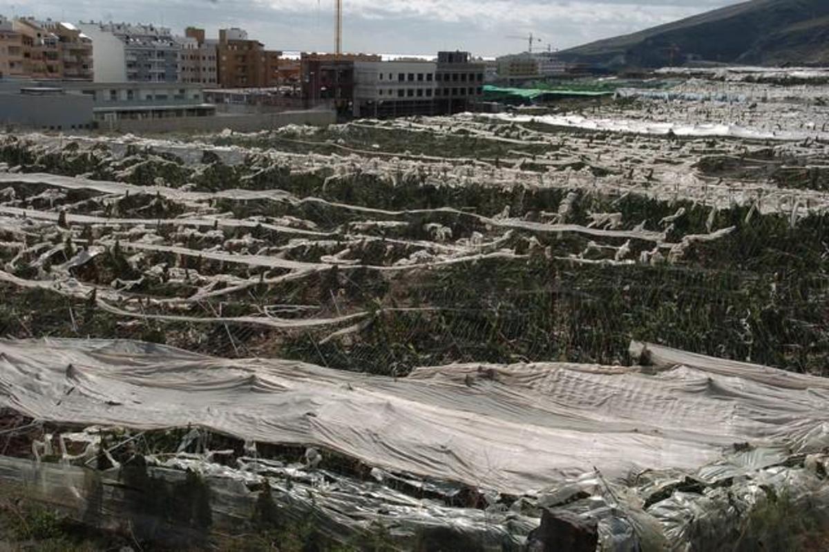 14 años del paso del Delta por Canarias 14 años del paso del Delta por Canarias