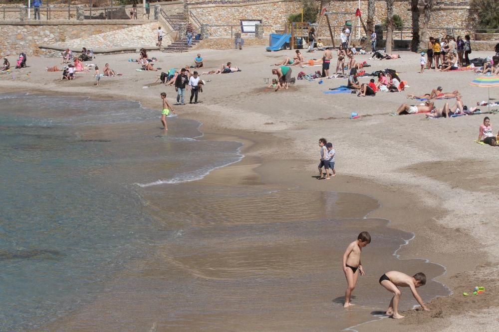 Día de la Mona en Cartagena