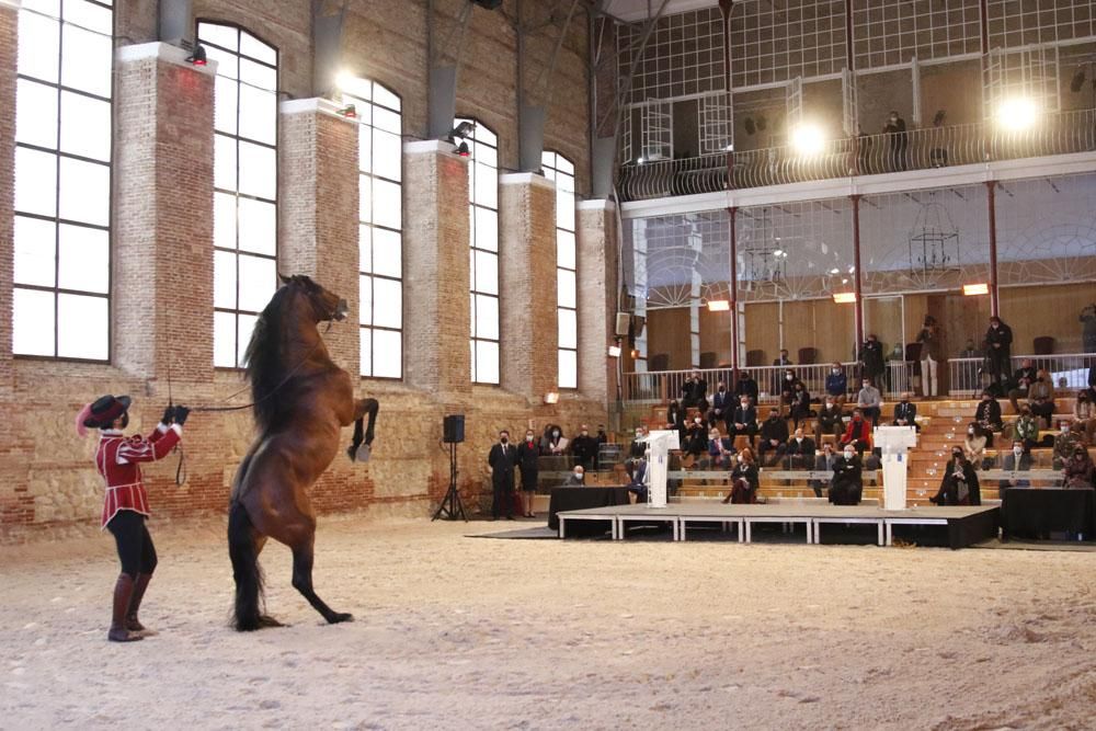 Premios de Turismo de Diario CÓRDOBA