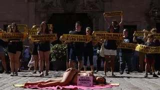"Mallorca se baña en sangre": activistas antitaurinos protestan en Palma contra las corridas de toros