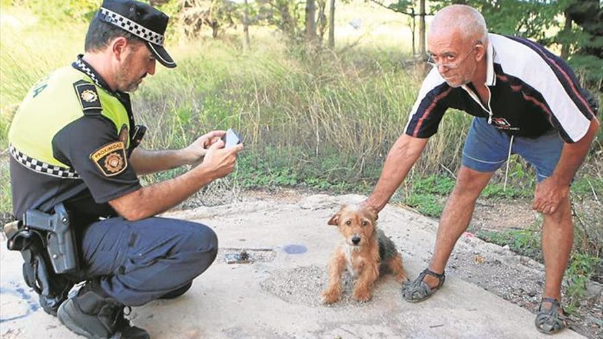 «El maltrato animal debe tener penas más duras»