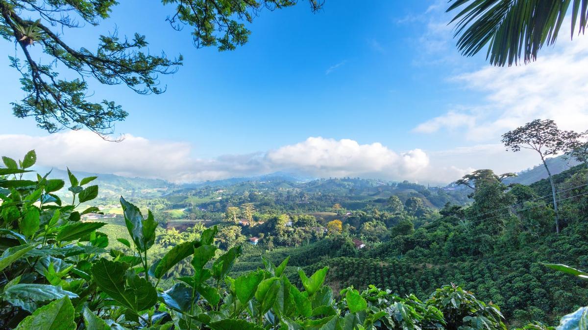 Eje Cafetero colombiano