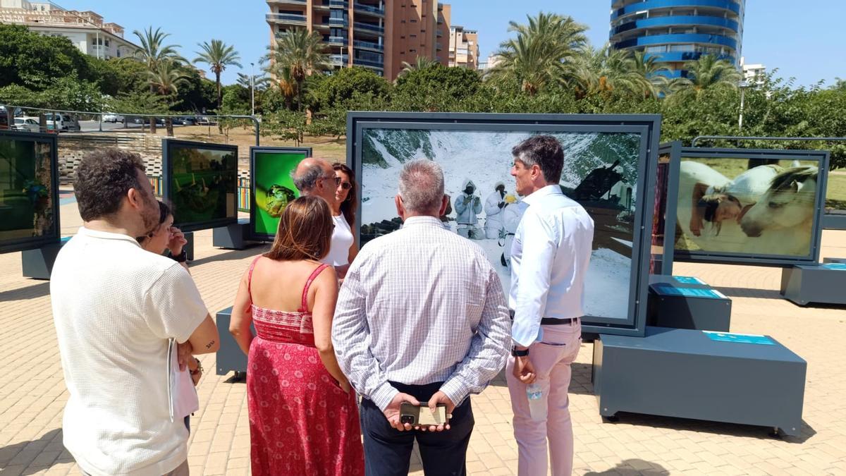 Visita del alcalde a la exposición