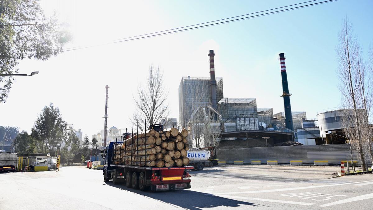 Un camión con madera de eucalipto entra en la fábrica de Ence.