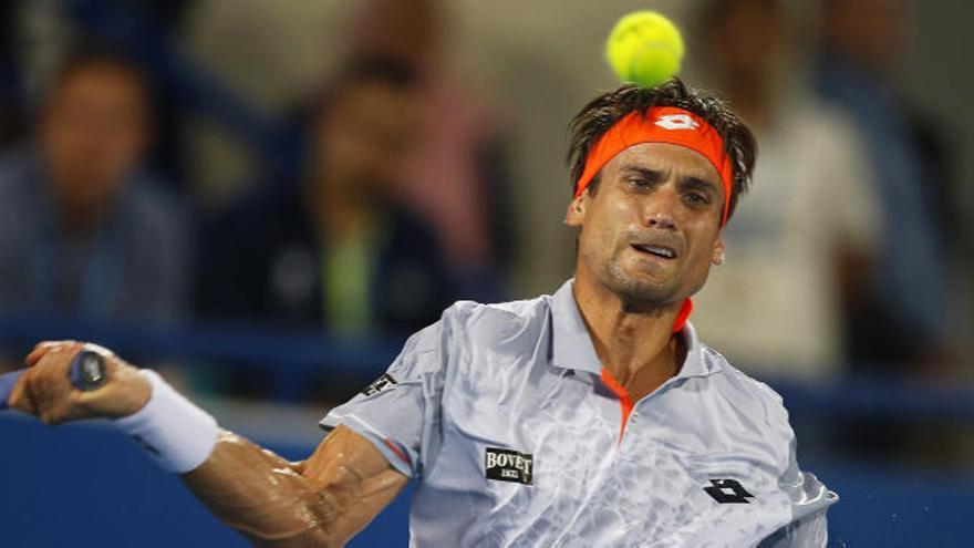 David Ferrer