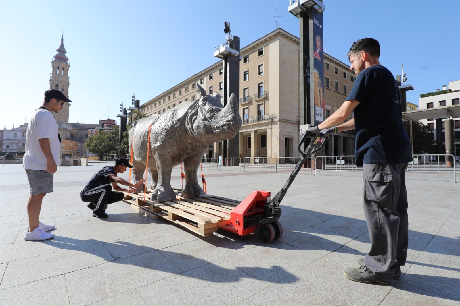 20 rinocerontes ocupan la plaza del Pilar de Zaragoza