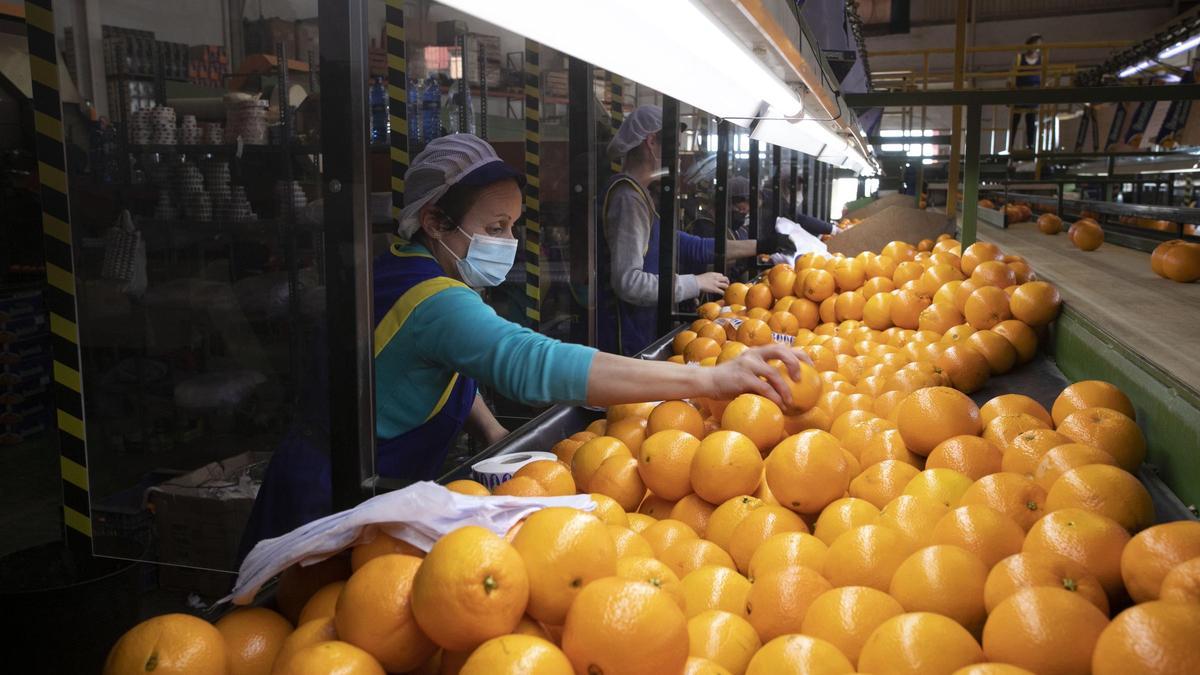 Mujeres trabajadoras en un almacén de naranjas