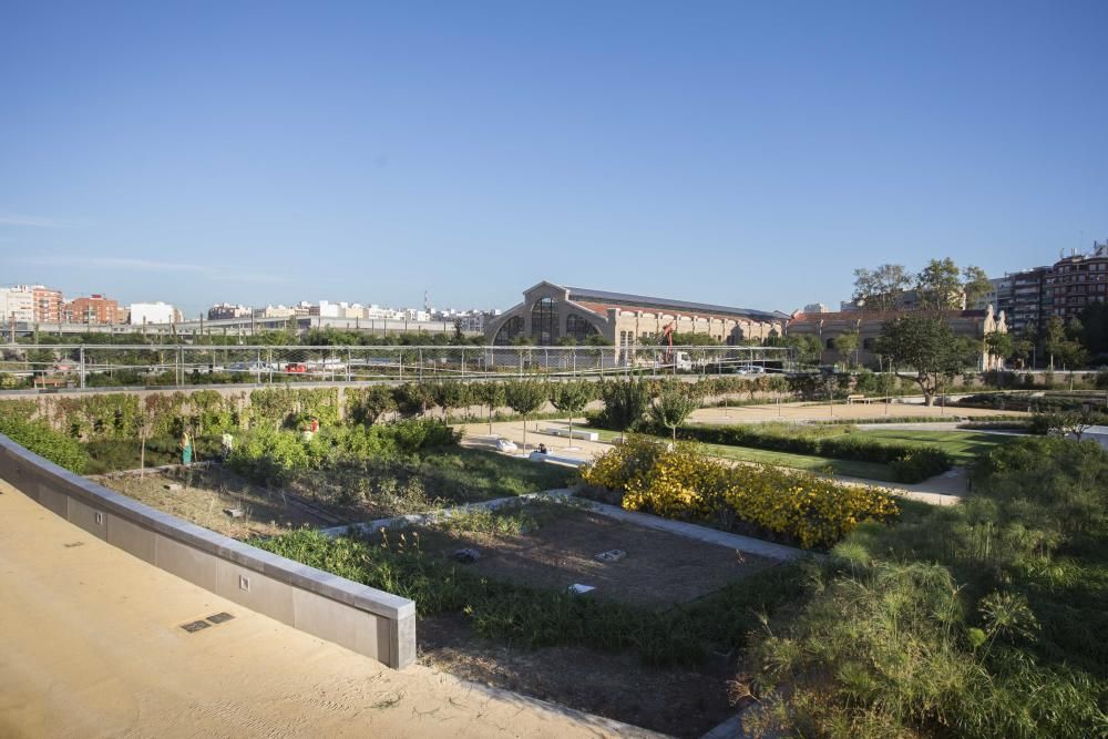 Así están las obras del Parque Central a día de hoy