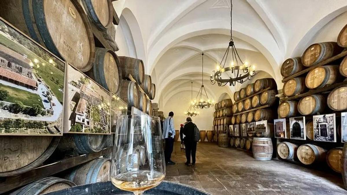 Interior de una bodega, con barricas de vino y una copa en primer plano.