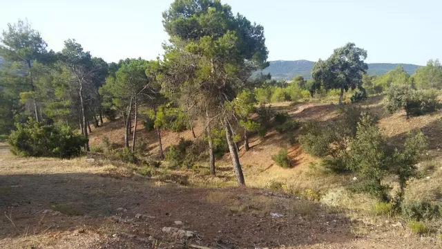 Las nuevas actuaciones de Alcoy para hacer frente a incendios forestales