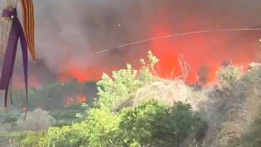 Vídeo: Evacuación de Artana por el incendio forestal de la Vall d'Uixó