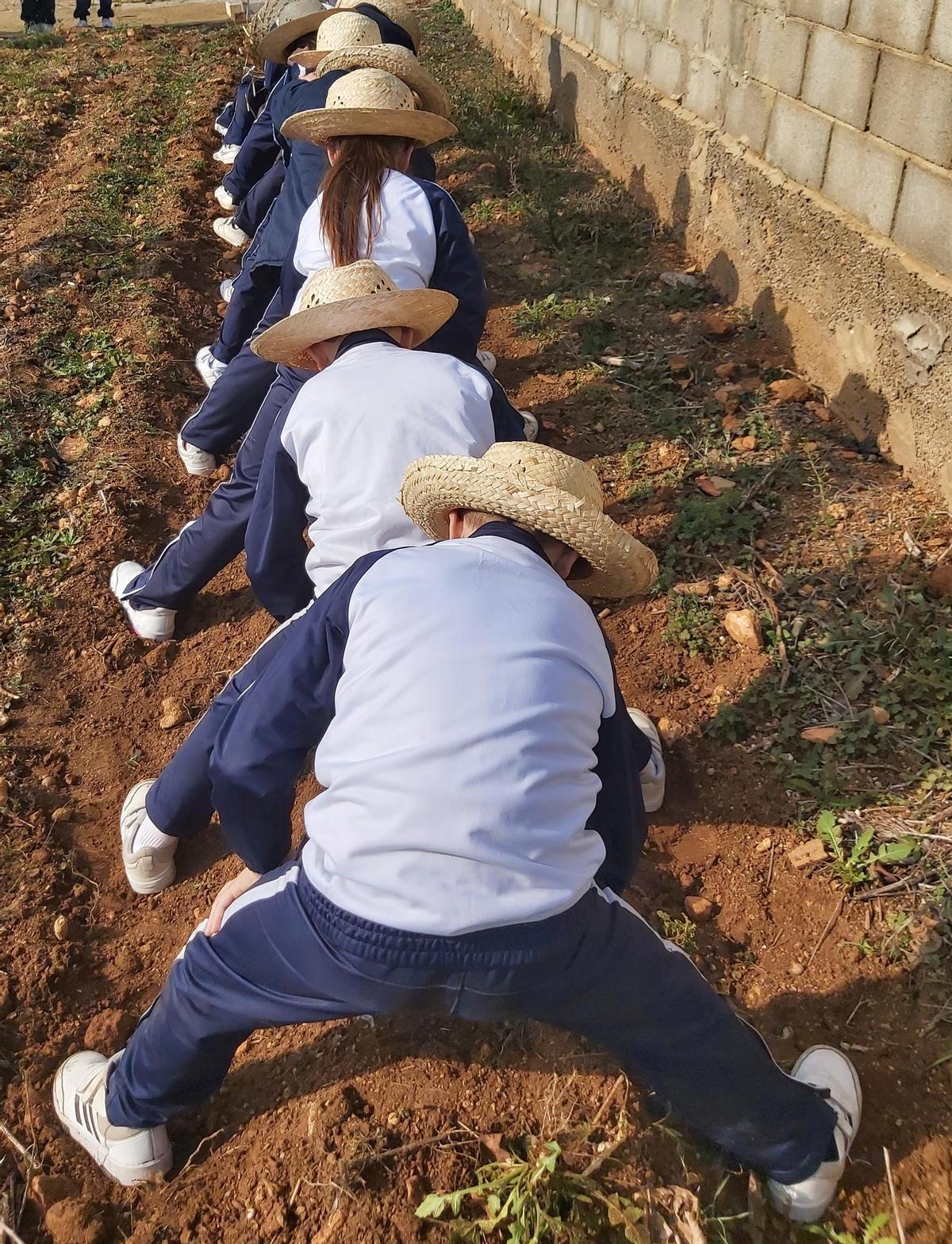 Escolares plantando semillas