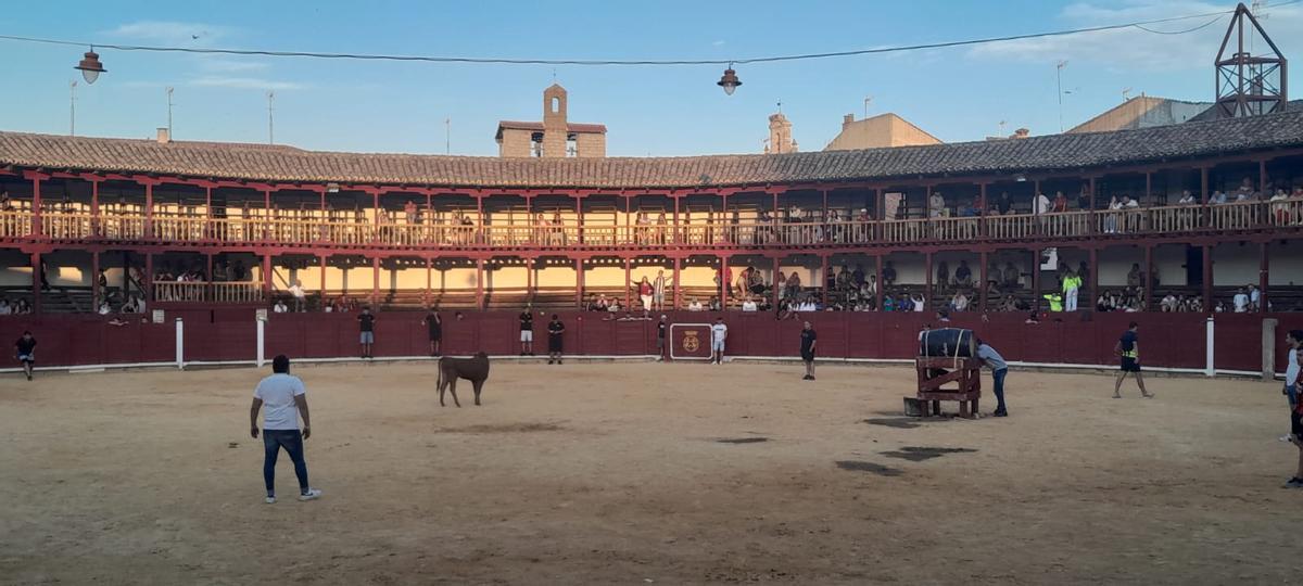 GALERÍA | La Fuente de Vino en la plaza de toros de Toro, en imágenes