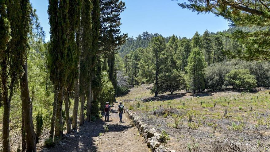 Una veintena de colectivos pide más voz en el plan Nublo-Tamadaba, que ordena el 18% de Gran Canaria