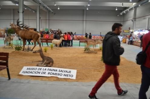 VI Feria de la Caza y la Pesca en Benavente