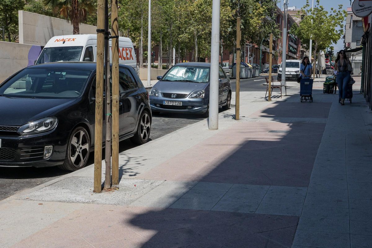 El concejal de Espacios Públicos asegura que los árboles tiran las hojas por estrés y luego rebrotan
