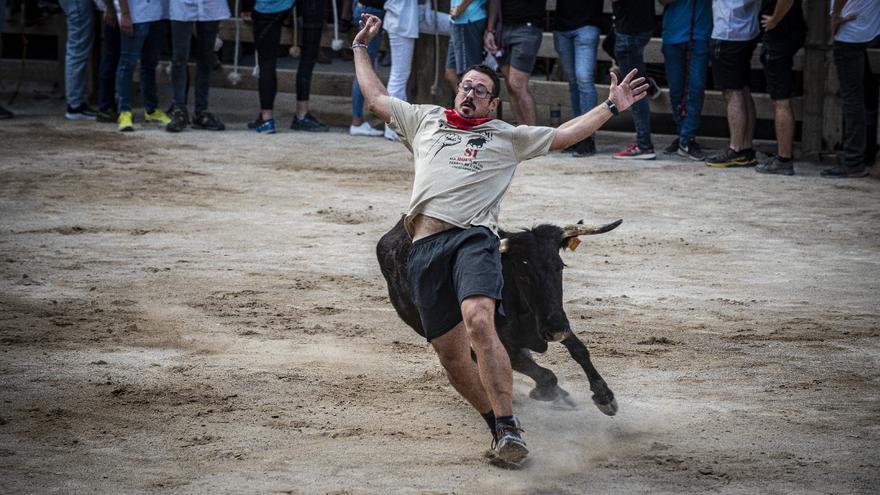 Cardona acaba les entrades en l’edició del Corre de Bou de més participació