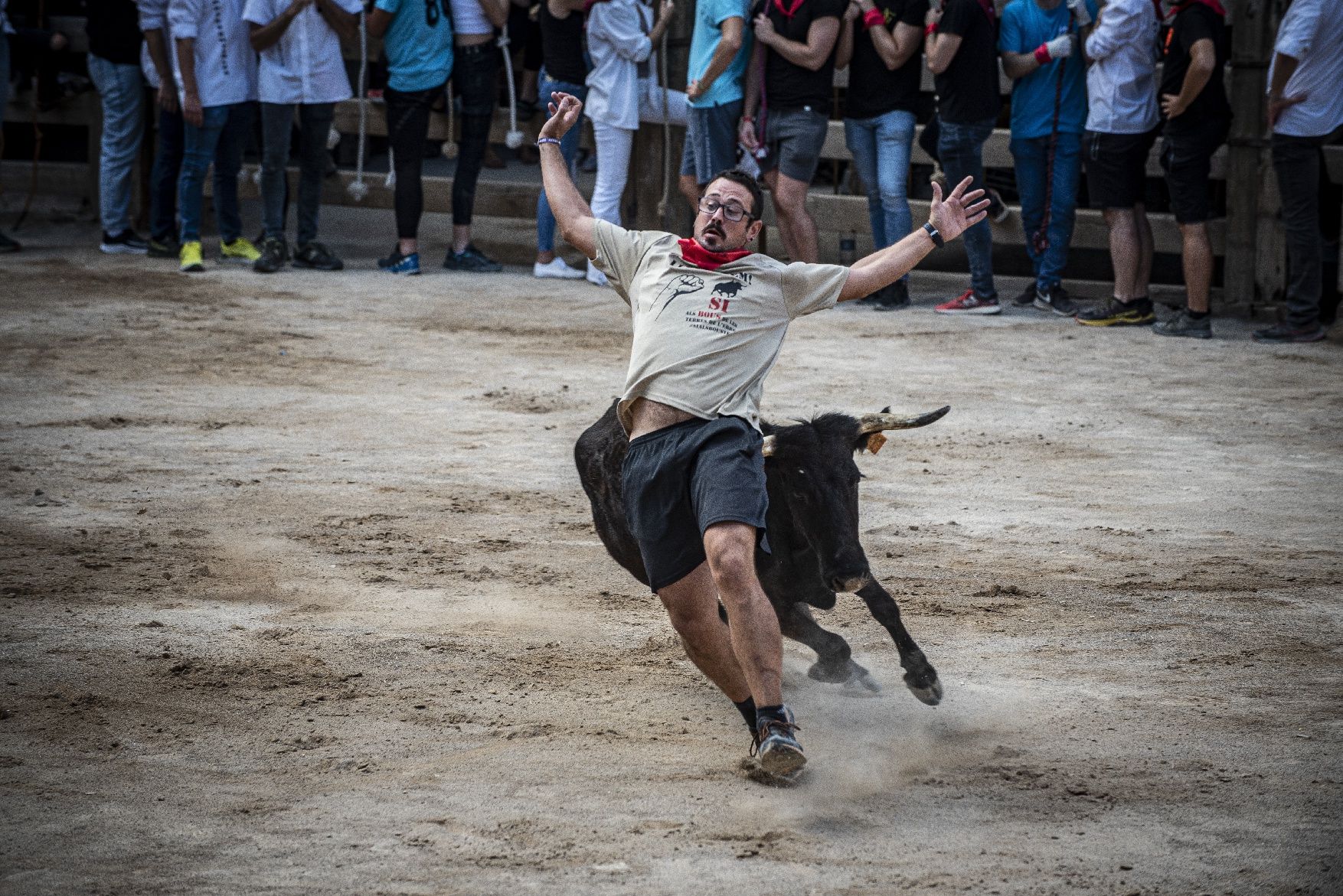 Corre de bous de Cardona