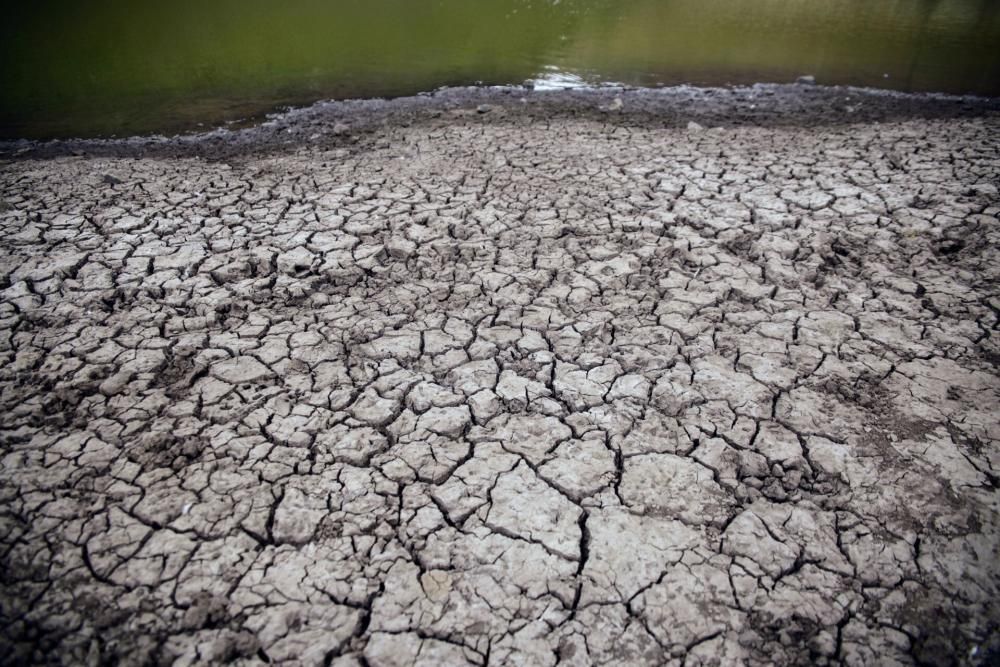 Embalses Valle Tabares y Tegueste