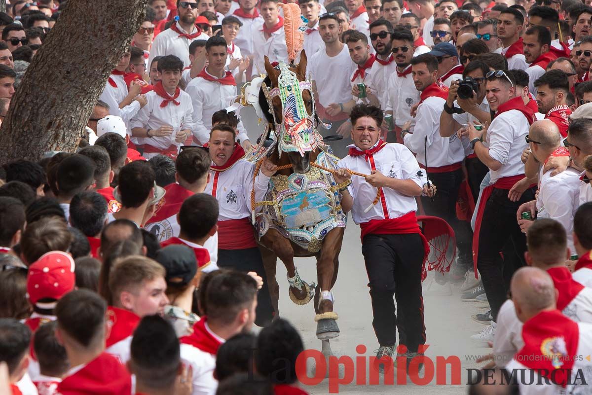 Así ha sido la carrera de los Caballos del Vino en Caravaca