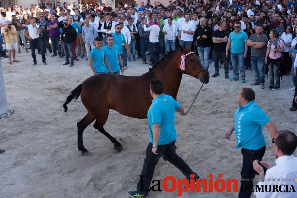 Día uno de mayo, entrada de caballos al Hoyo