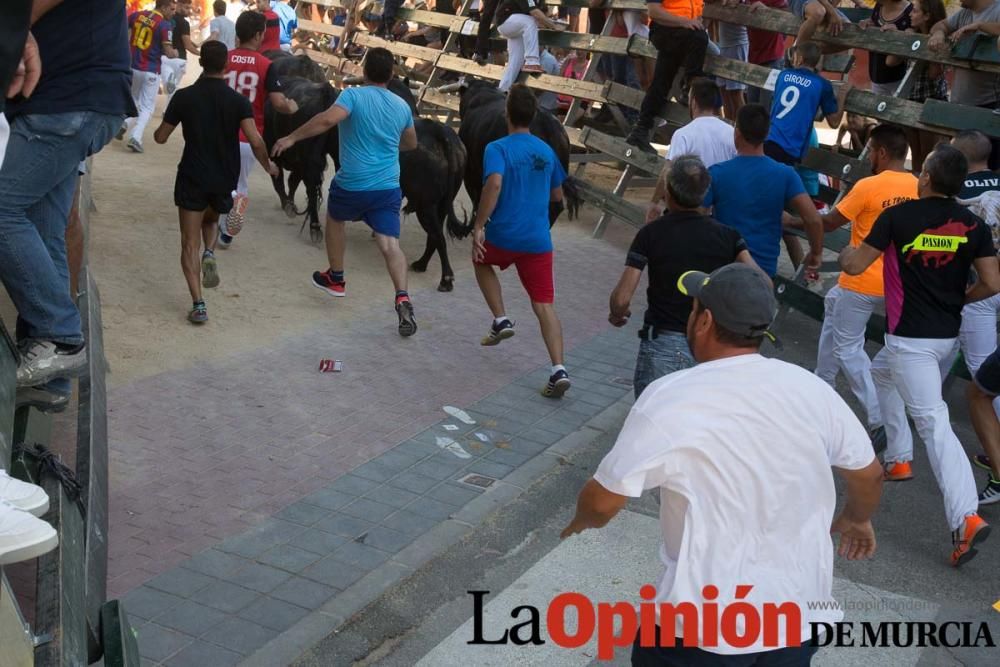 Primer encierro de Calasparra