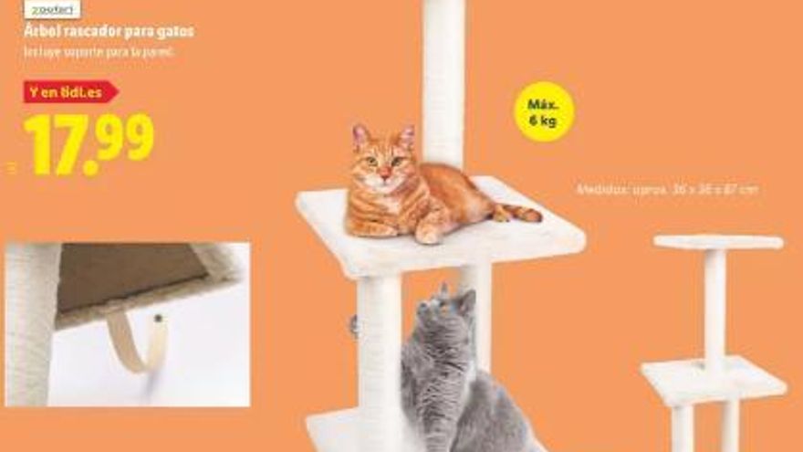 Lidl lanza el rascador más cuqui y viral del verano… y media España ya lo quiere para su gato