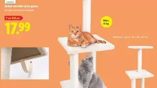 Lidl lanza el rascador más cuqui y viral del verano… y media España ya lo quiere para su gato