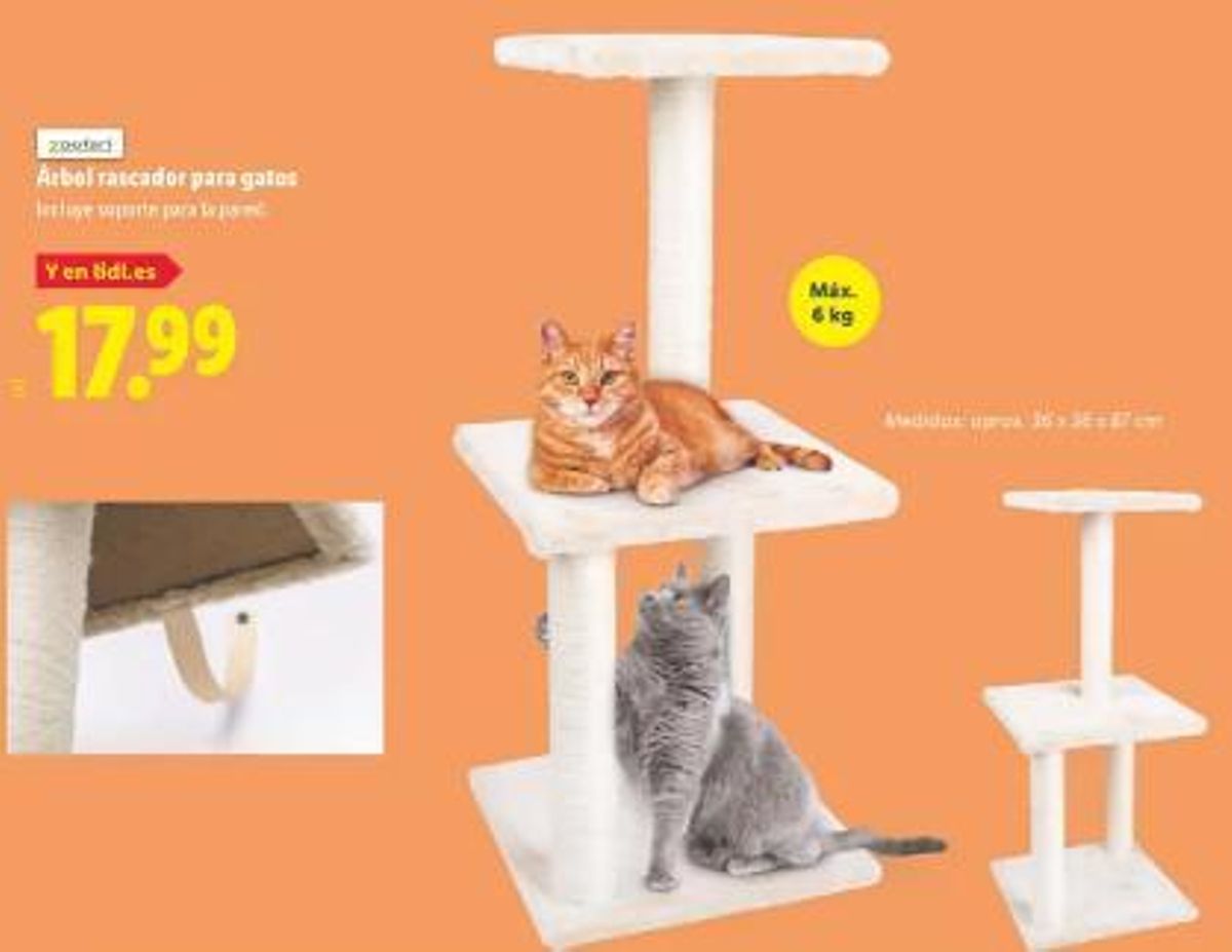 Casa para gatos
