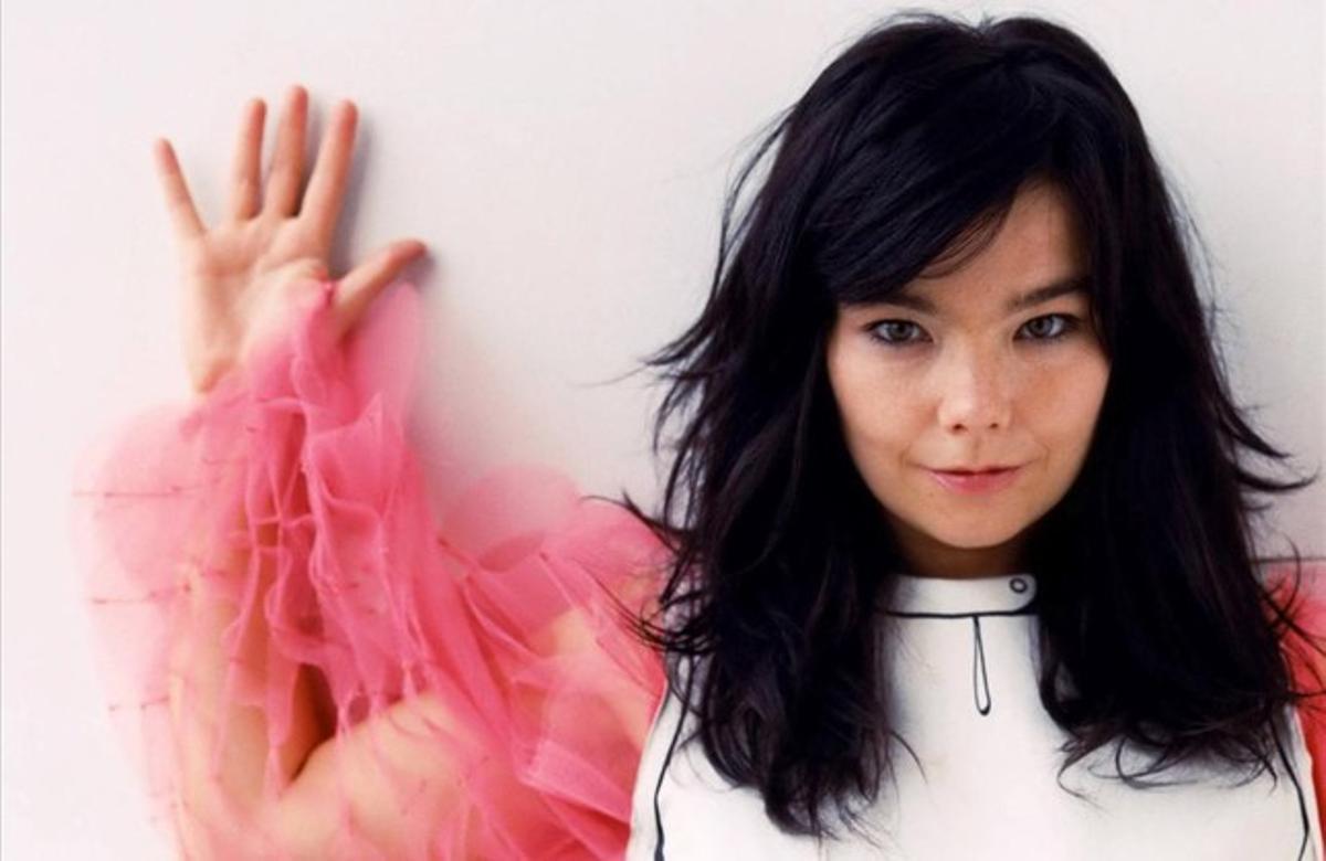 L’artista islandesa Björk.
