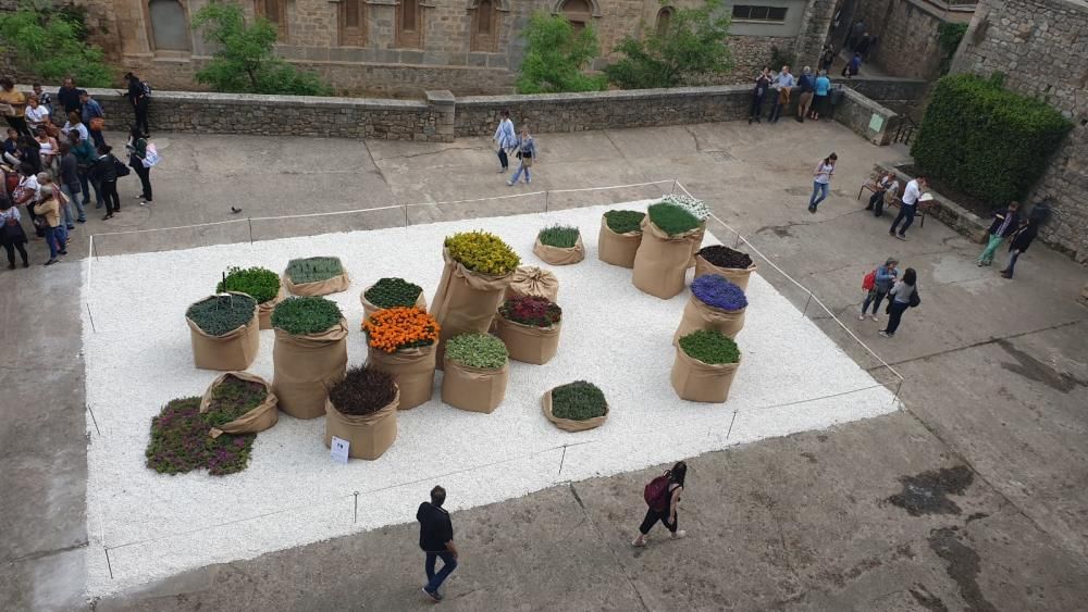 Girona, Temps de Flors 2019