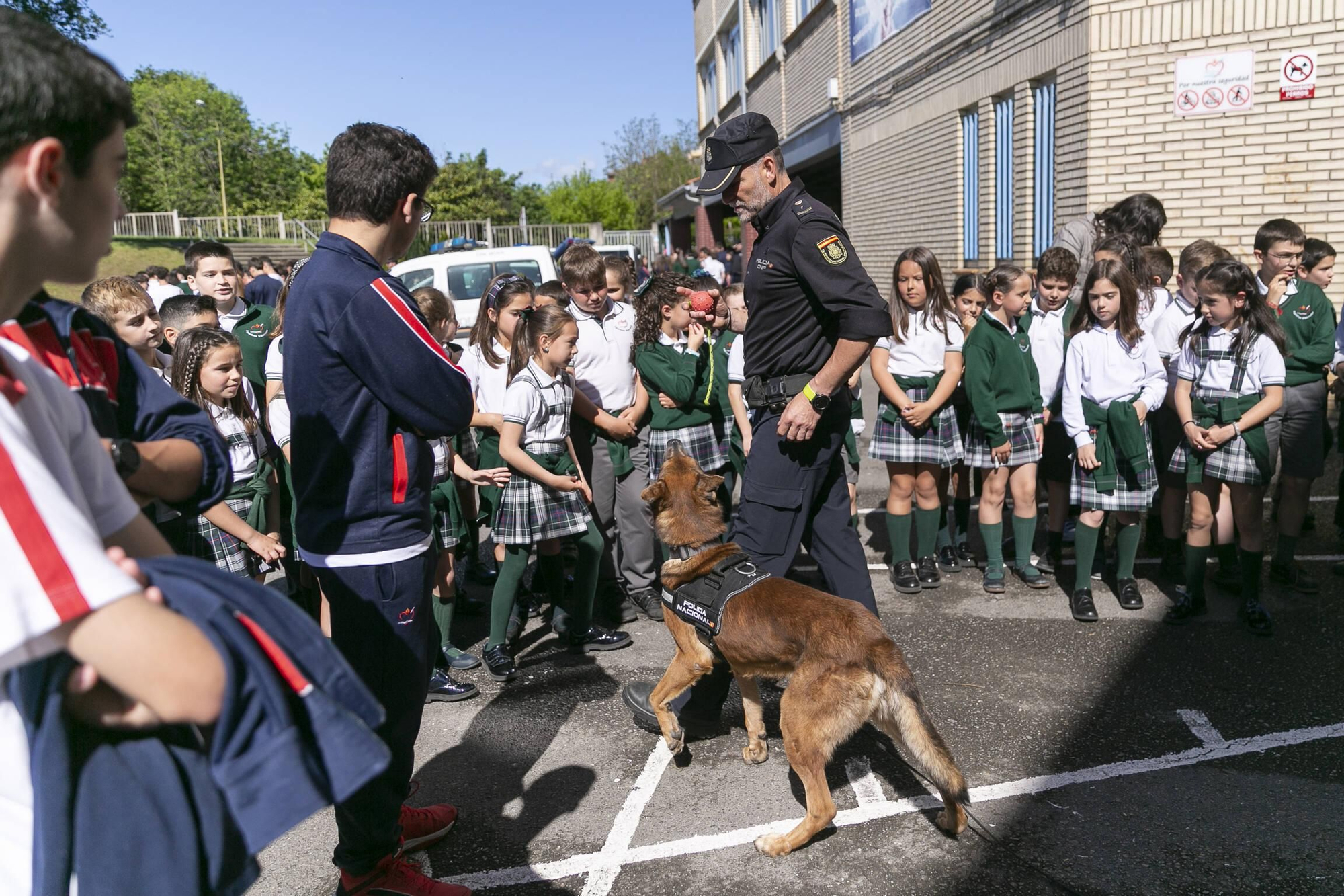 Razones para ser policia